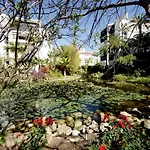 Apartment Jardines De Golondrinas With Sea Views