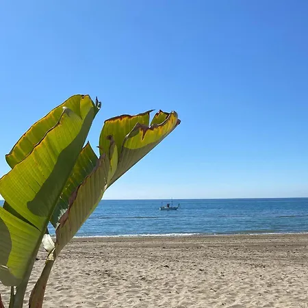شقة Jardines De Golondrinas With Sea Views ماربيا