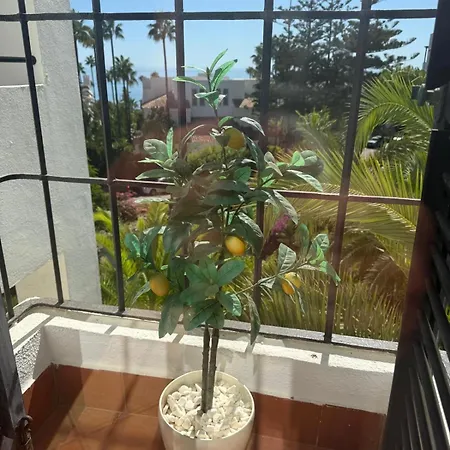 Jardines De Golondrinas With Sea Views 马尔韦利亚