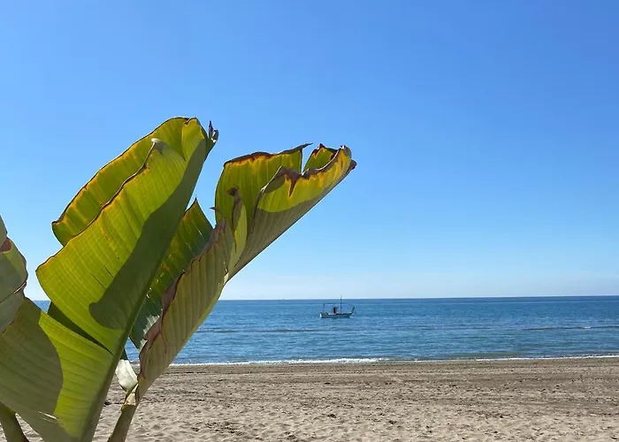 アパート Jardines De Golondrinas With Sea Views マルベーリャ